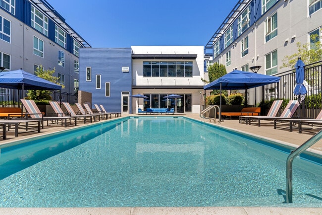 Photo - Domain Apartments