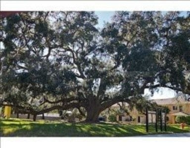 Photo - 5309 Aloha Seed Dr