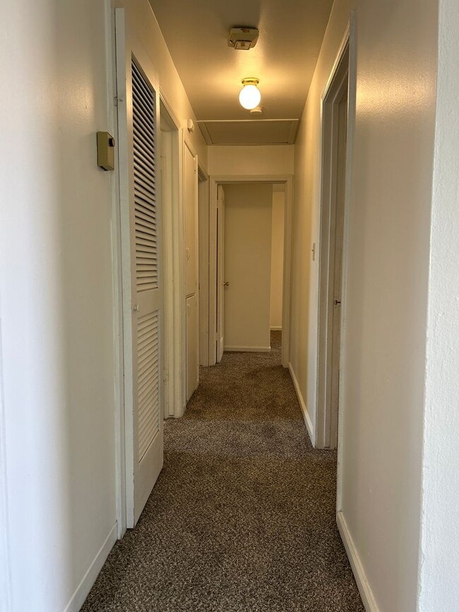 Photo - 3 Bedroom Apartment in Cheney
