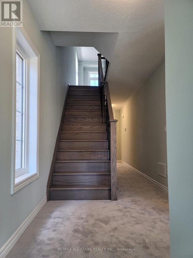 Photo - 1 Royal Collection Wy