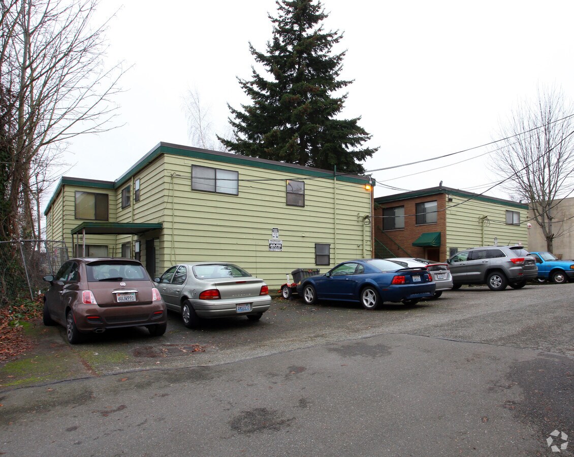 Photo - Golden Pines