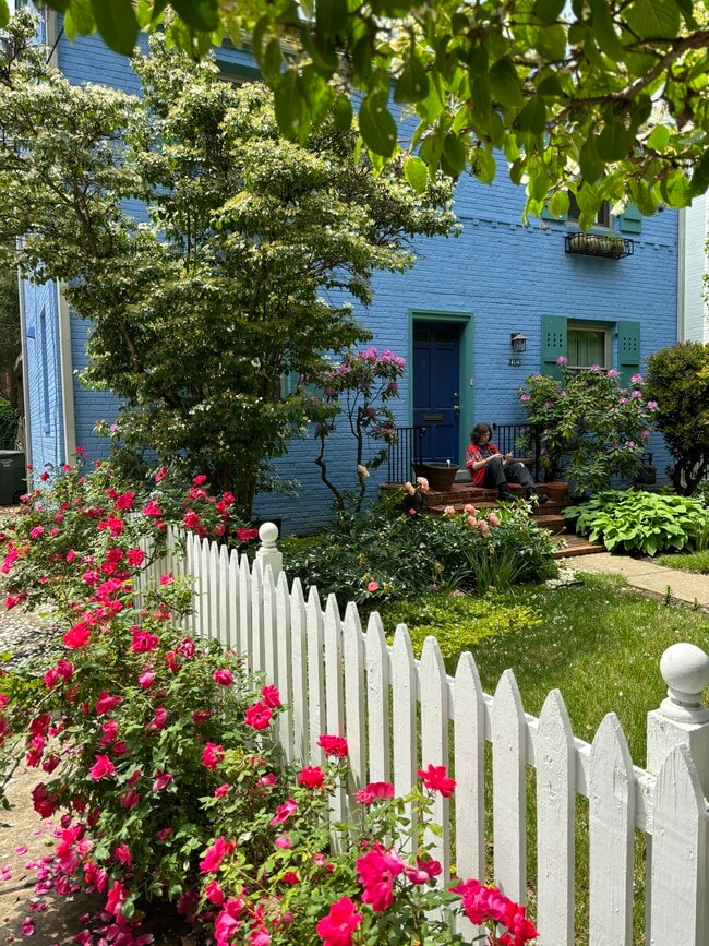 from the street - 4514 Albemarle St NW Unit 1