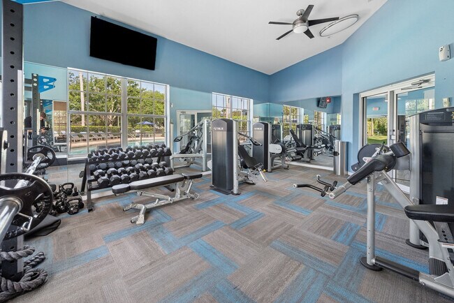 Photo - Oviedo Grove