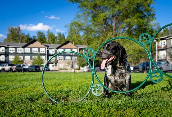 A happy resident