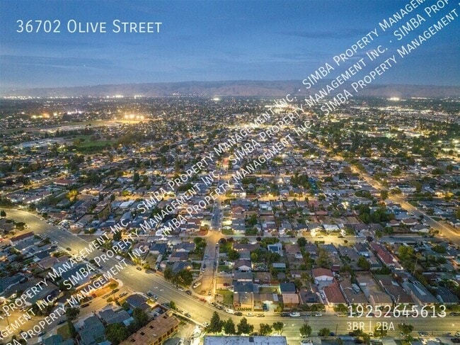 Photo - 36702 Olive St