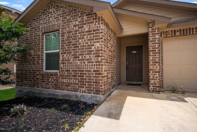 Photo - 15446 Shortwing
