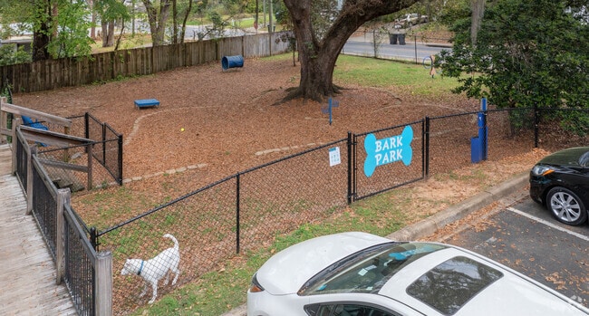 Community Dog Park