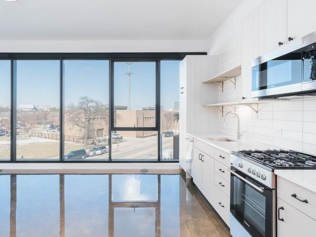 Photo - 1450 S Blue Island Ave