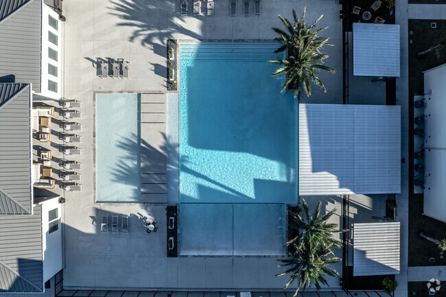 Área de la piscina - The Alexander