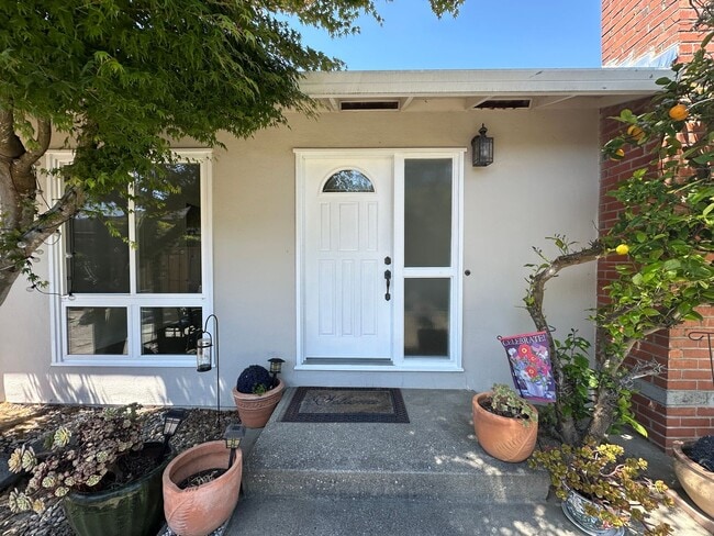 Beautiful Rollingwood Home - Beautiful Rollingwood Home