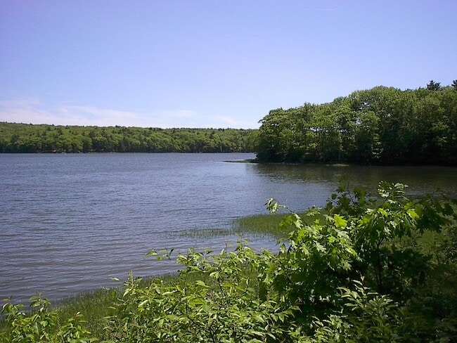 Photo - 61 Birch Island Ln