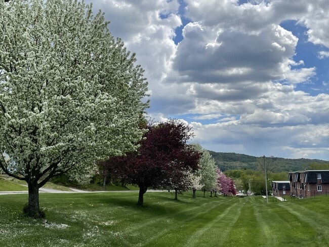 Princeton Commons