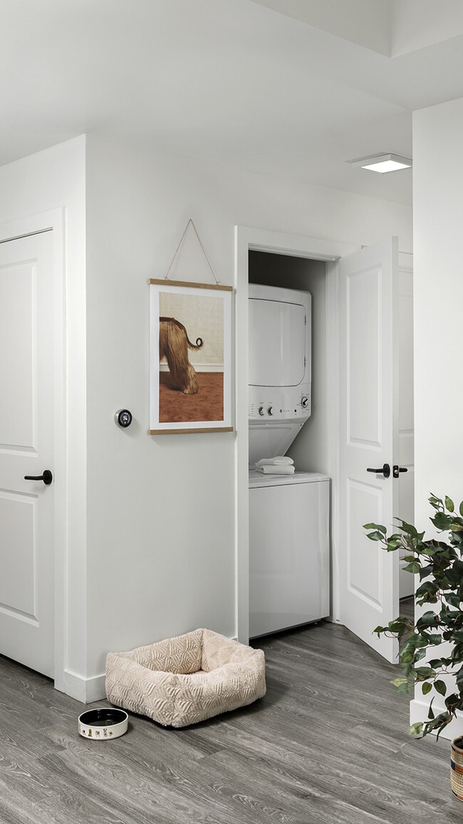 Apartment with In-Home Washer and Dryer.