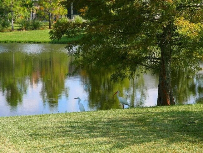 Photo - 15253 Blue Fish Cir