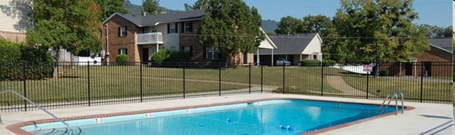 Pool - Views at Signal Mountain