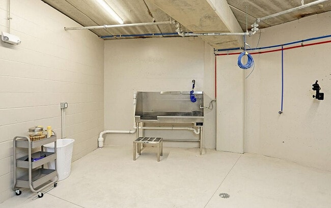 Dog Washing Station
