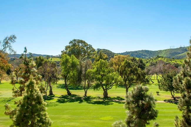 Photo - 3251 Dehesa Rd