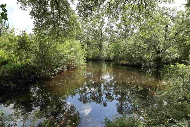 Photo - 1381 W Roberts Rd