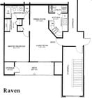 Raven