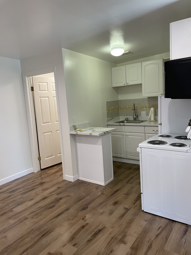 Kitchen area door to large walk in shower - 923 S Bedford St Apartments Unit 923.5 Bedford street