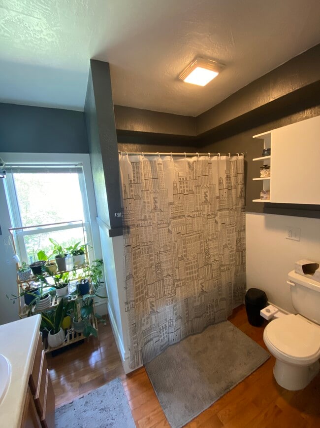 Bathroom - 410 Dakota St Unit Lower