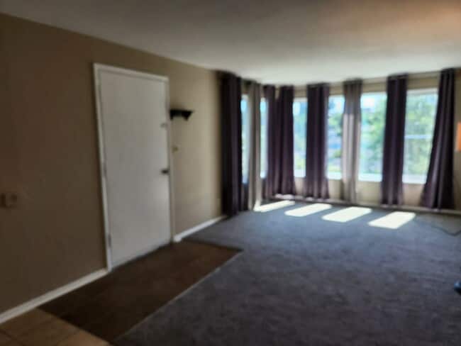 Spacious Lower Level Apartment Ready For R... - Spacious Lower Level Apartment Ready For R... Unit STO- Houston