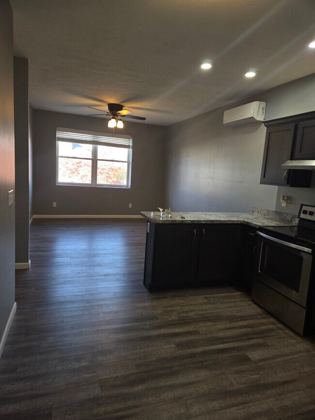 Kitchen/Living Room - 121 W Washington St Unit B2