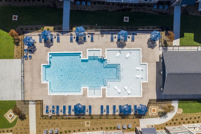 Photo - Waterleaf at Neely Ferry