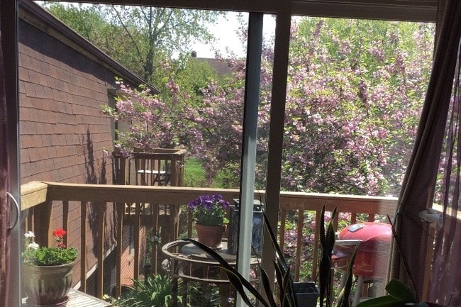 View from living room - 423 Lawrence Rd Unit 608