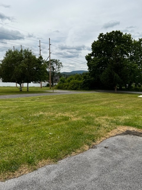 Photo - 1524 Harrison Ave