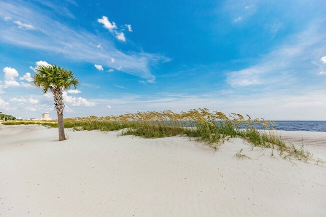 Photo - TDY Special! 1/1 fully furnished Unit 214