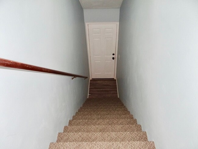Photo - Now Allowing 1 small dog under 30Lbs - Spa...