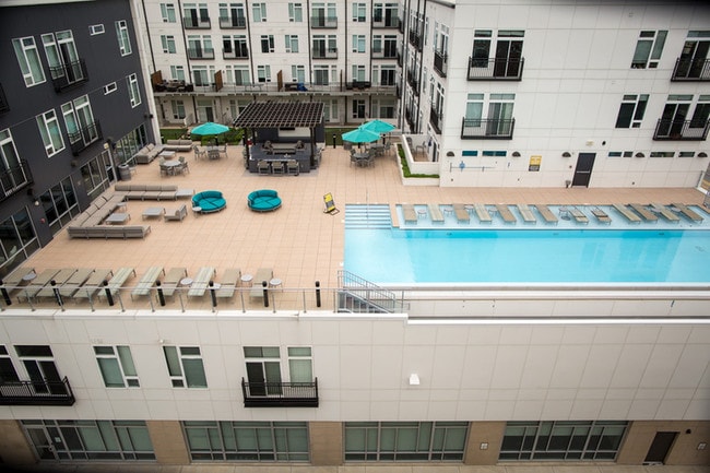 Rooftop Pool & Lounge