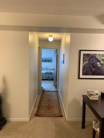 Photo - 17 Healey St Unit 202