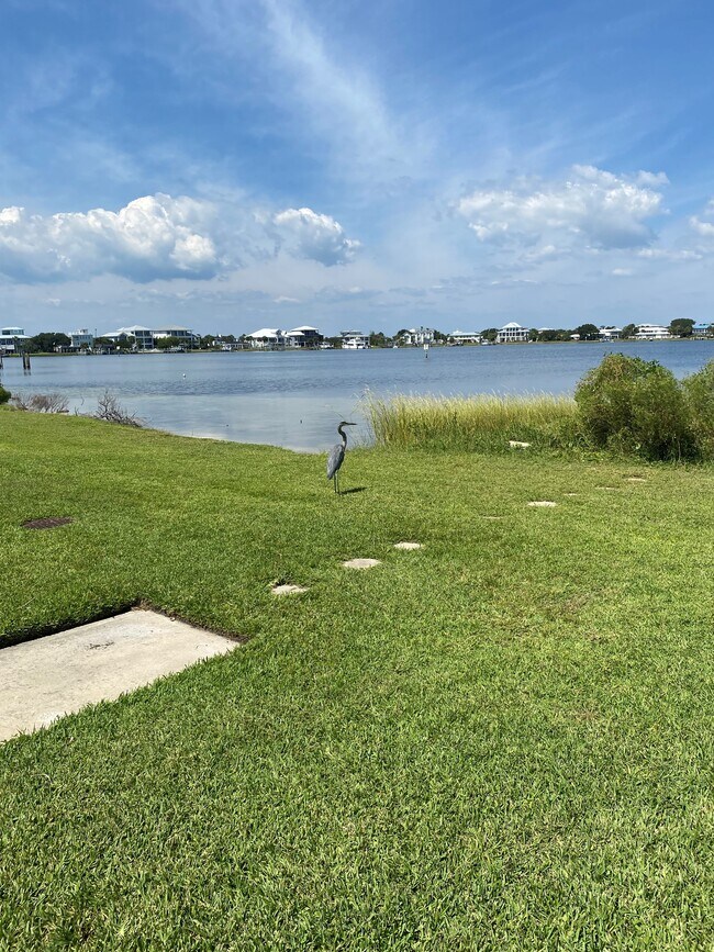 Photo - 336 Fort Pickens Rd Unit Waterfront beach listing