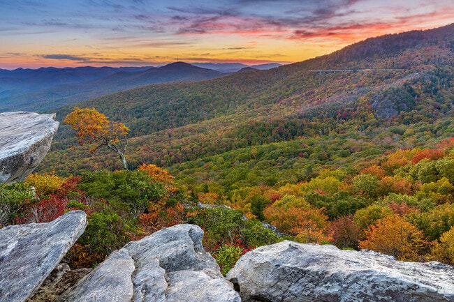 Photo - Rockberry