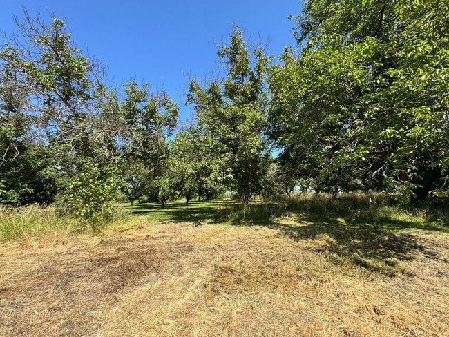 Photo - West Valley 3 bedroom country home with 3 ...