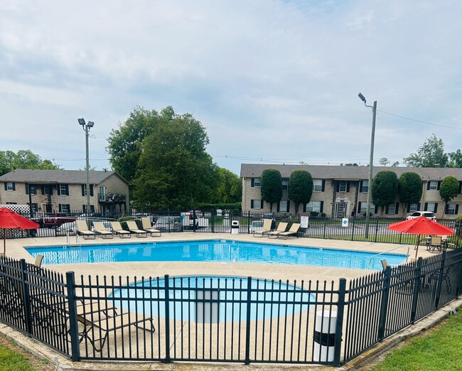 Swimming Pools - Berkley Hills