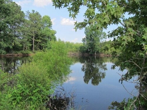 Photo - 104 Trinity Pond Road