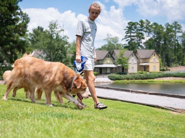 Enjoy pet-friendly outdoor spaces at The Cottages of Hattiesburg.