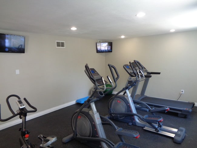 Fitness Cardio Set