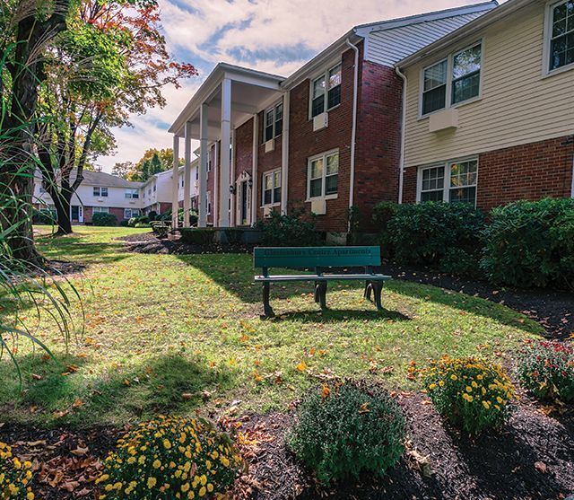 Photo - Glastonbury Centre