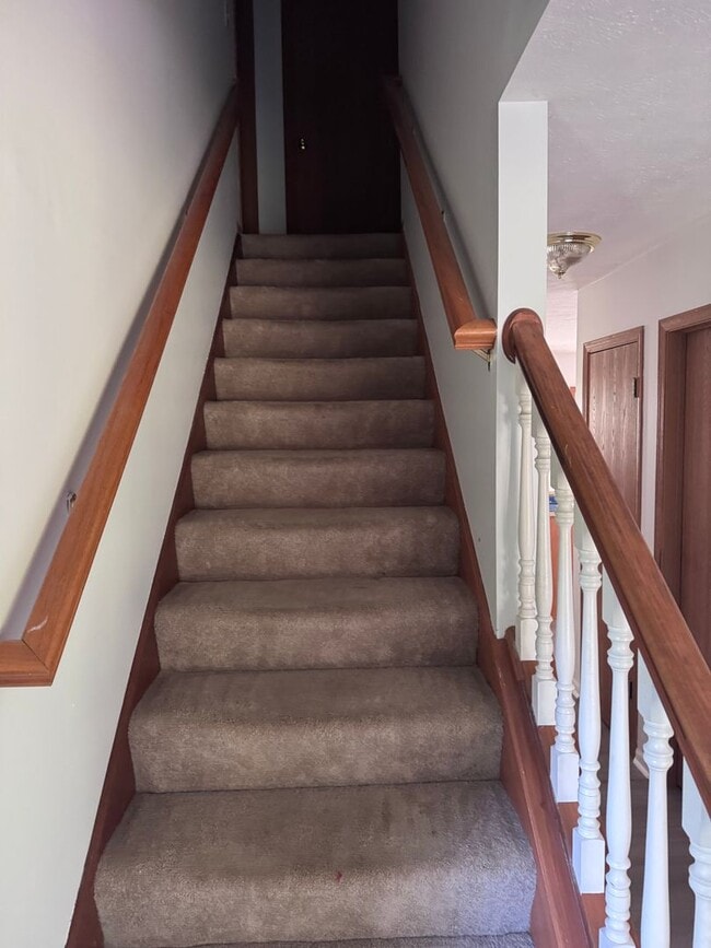 Photo - 5 Bd 2.5 Ba