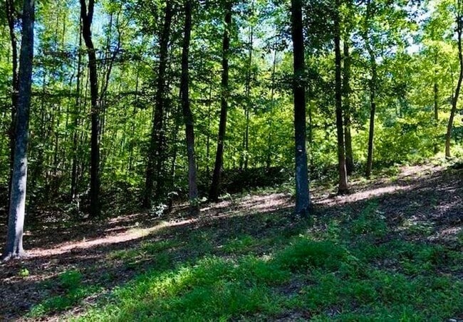 Photo - Spacious 3100 sq ft 3 bedroom 2 bath home on over 1.5 acres in Oak Ridge, NC