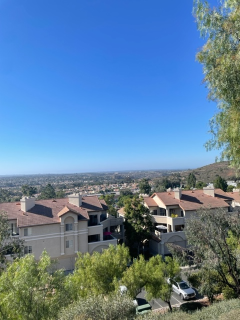 Photo - 11255 Affinity Ct Townhome