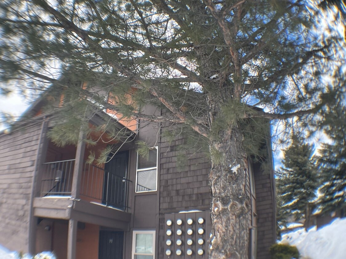 AVAILABLE NOW! Upgraded 2-Bed, 2-Bath Cond... - AVAILABLE NOW! Upgraded 2-Bed, 2-Bath Cond...