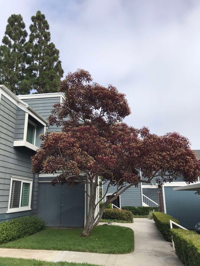 Edificio - 6000 Bixby Village Dr Unidad #13