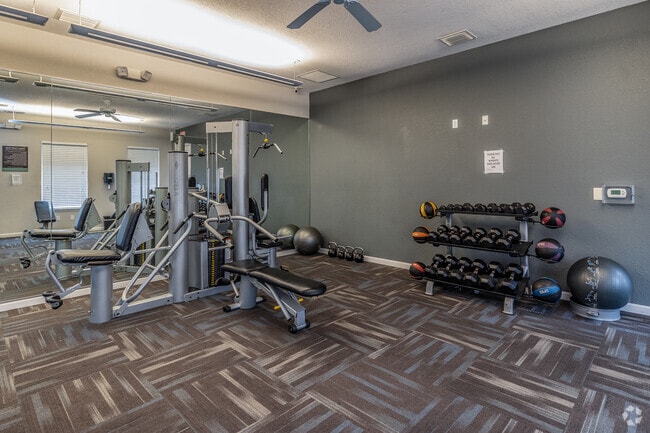 Gimnasio