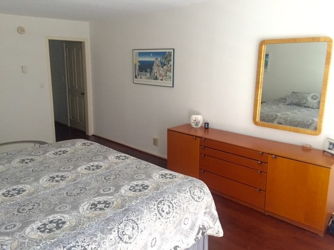 Extra-large master bedroom - 2308 Schader Dr Unidad 109