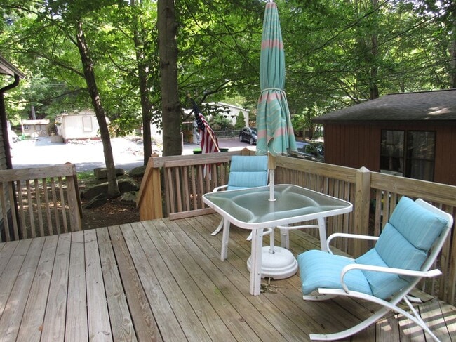Photo - 113 Forrest St